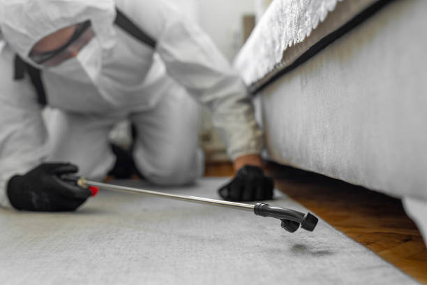 Professional Pest Control technician working in Queens County County, NY